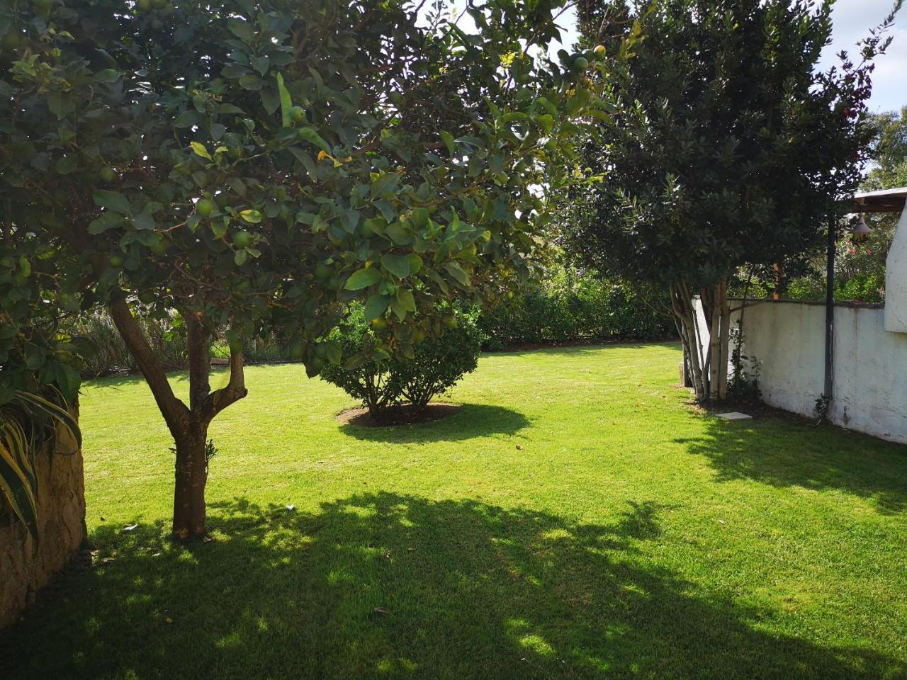 Villa Rosas *